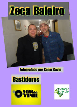 Zeca Baleiro Som do Vinil