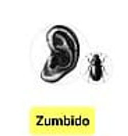 Zumbido