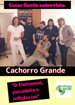 Cachorro Grande