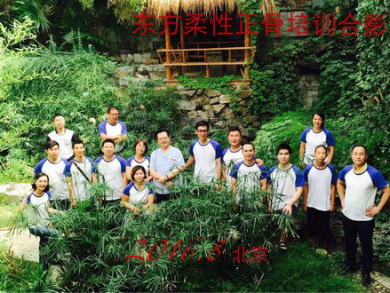 毛泰之东方柔性正骨2016年8月6日北京开班