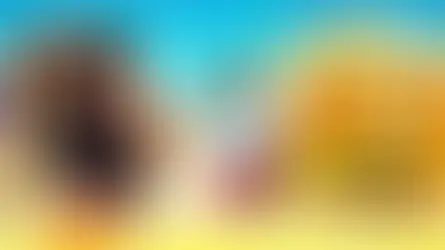 MEGA TOTO详解：i8Live高端在线彩票平台