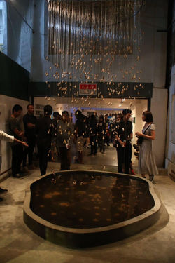 Installation view