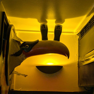 A colourful toucan figurine balancing two small pints of Guinness, inspired by the iconic Guinness advertisements, spotted in a London Irish pub on St Patrick’s Day.