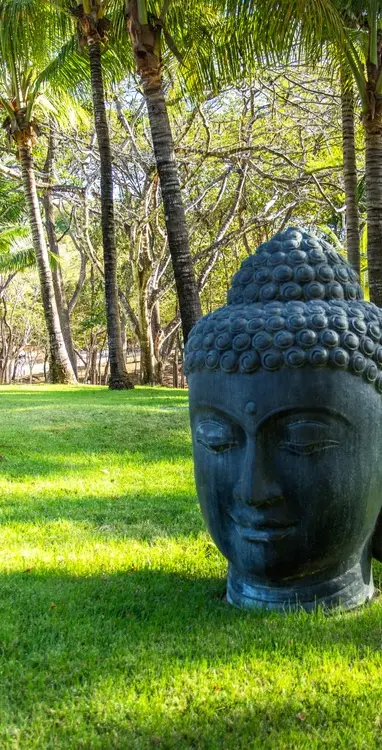 buddhaInTheLawn.webp