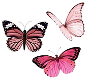 Screenshot 2021-12-01 at 14.23.38.png