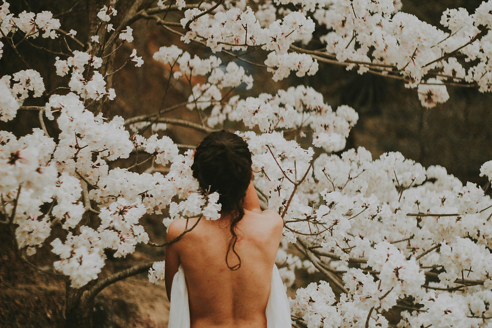 rodolfo-sanches-carvalho-Etb6y52feSY-unsplash.jpg