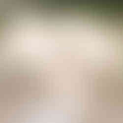 Bride and groom portraits at Greenhouse Two Rivers with natural light