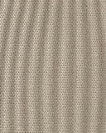 Light Cocoa (MDB451)