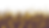 cornfield.png