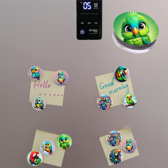 Thumbnail: One Touch Vibrant Parrots 3D Glass Magnets Set
