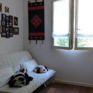 Residenze-nettuno-appartamento-15_-img-11-1110x623.jpeg