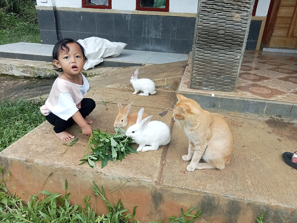 The Importance of Sustainable Living in Today's World (Ayesha punya kelinci di rumah)