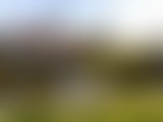 zakochana para we wrocławskim parku Tołpy