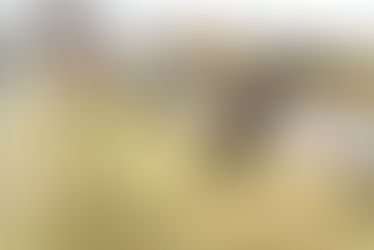 Por primera vez se realizan trabajos de imagen urbana en colonias de Apizaco