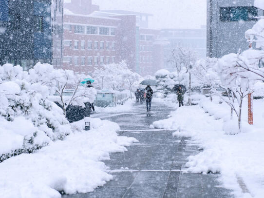 winter wonderland in seoul south korea survival guide and tips