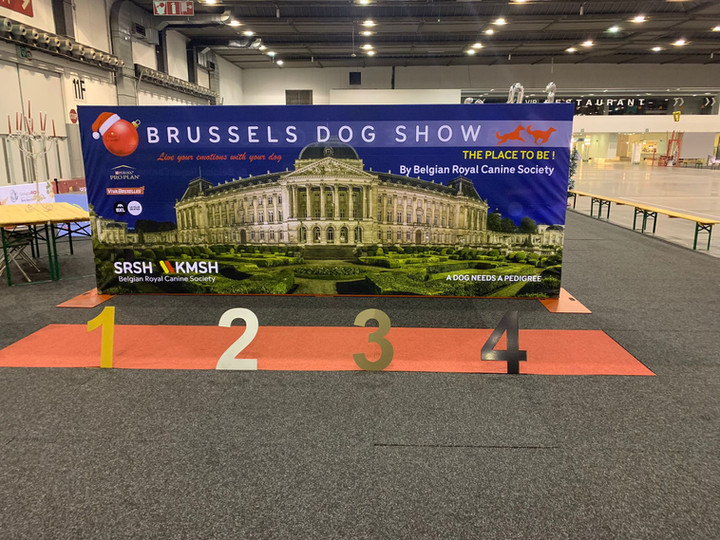 Brussel 5.jpg