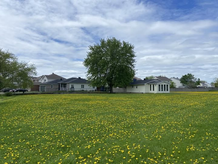 所有的花兒們不都是遍佈大地的星星嗎?