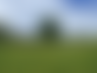 所有的花兒們不都是遍佈大地的星星嗎?