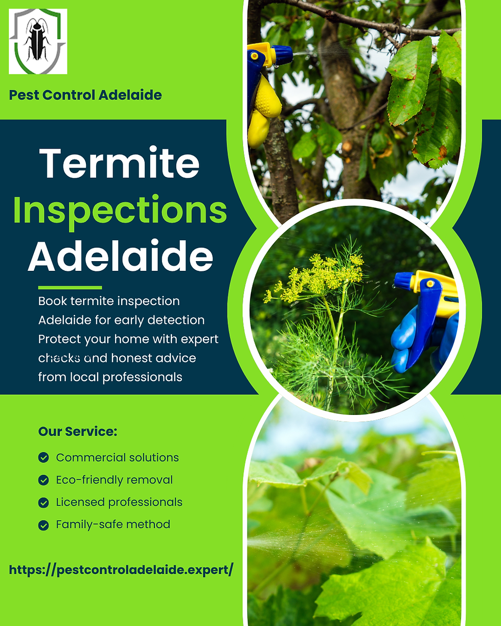 Termite Inspections Adelaide: Protect Your Home Today