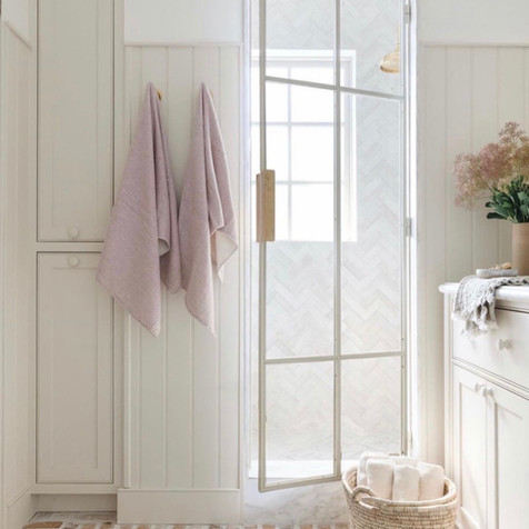 Shower Door