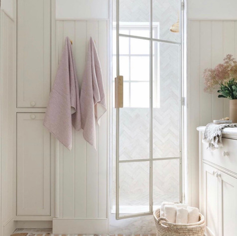 Shower Door