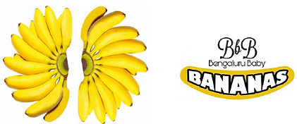 image (4).png