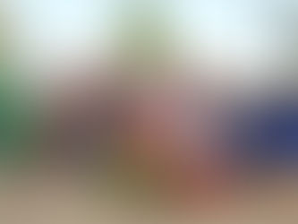 2017 Doddi's Dash/Christmas Picnic Wrap up!