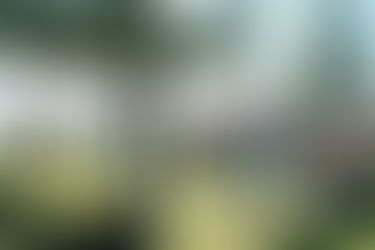 Ken's Beachside Farewell