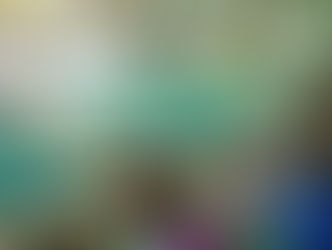 Golden Groper State Relay Results