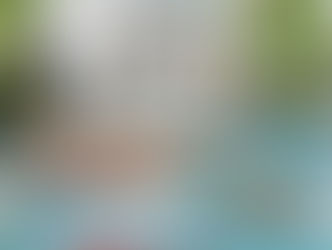 2020 Country Correspondence Carnival - Day 2