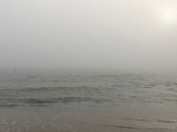 Foggy June Morning at Doddi's