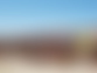 2018 Doddi's Dash - 9 Dec - Call for Nominations