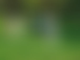 Frisbee Golf - Can you meet the Challenge?