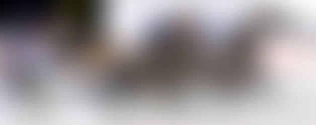 Friday Night 14 July at the Trots!