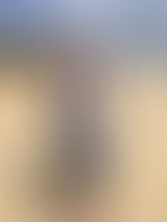 Jonathon Livingstone Seagull Release -
back to the drawing board!