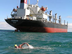 Swimmers' Seminar - All the info you need to make it to Rotto