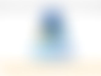 2017 MSA Swimming Camp