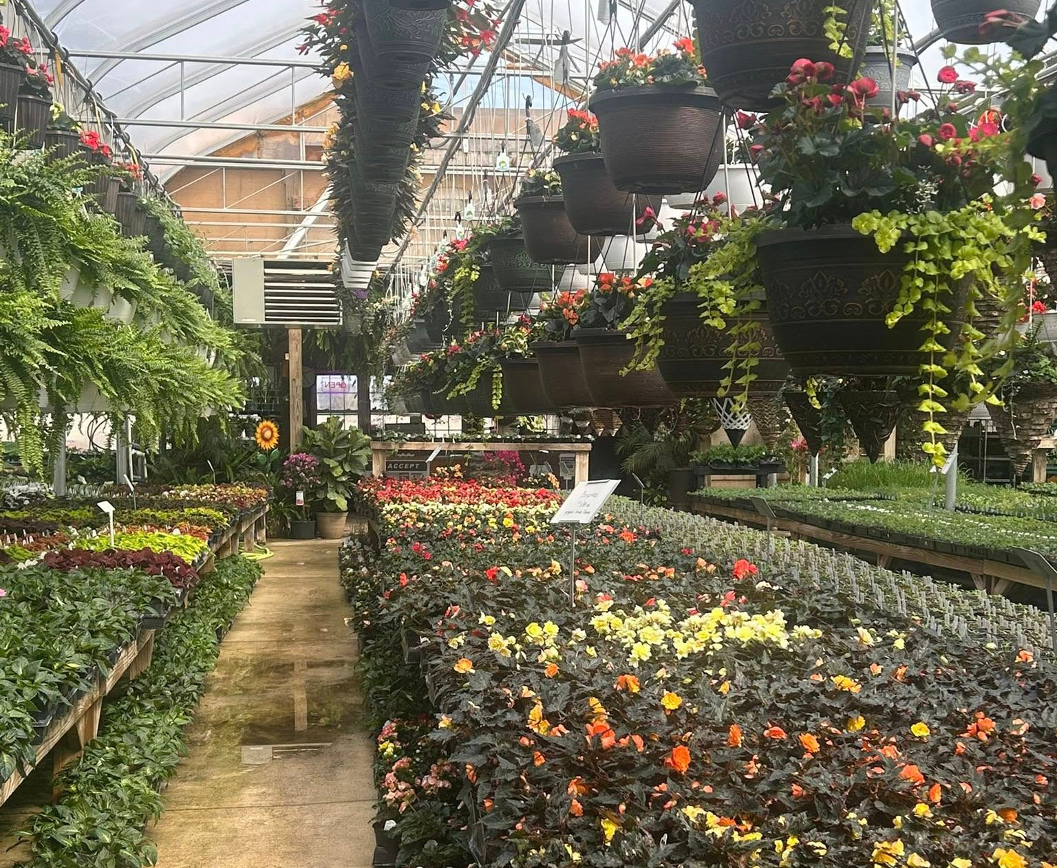 Zimmerman's Greenhouse