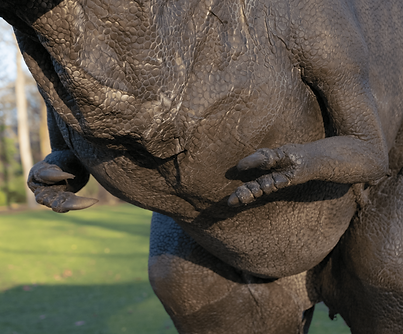 CAN01704 edit-min.png