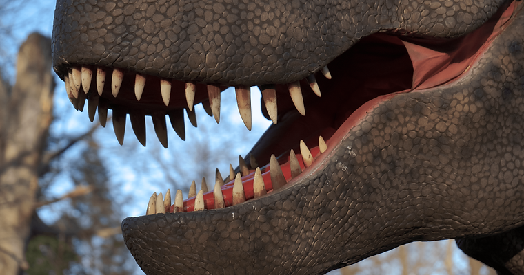 Detailansicht der T-Rex-Zähne und des Mauls – beeindruckende Nahaufnahme für Dino-Fans