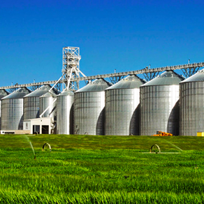The Debate on Incentives for Rice Growers in Colombia (2023-2024)