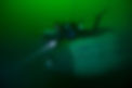 divers on 727.jpeg