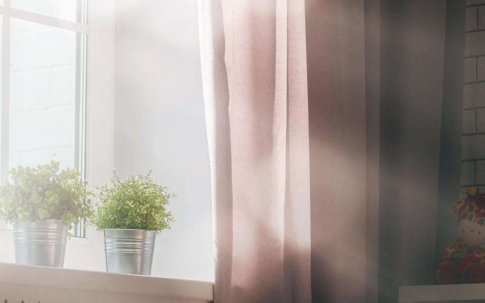 cortinados e plantas à janela