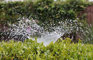 irrigation-2402568_1920.jpg