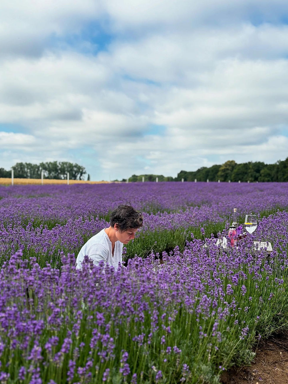 Lavendel-Tasting und Nature Journaling mit Ruester Lavendel