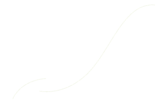 Sarousch 静岡 design