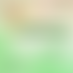 Faltam poucos dias para o EECN Online