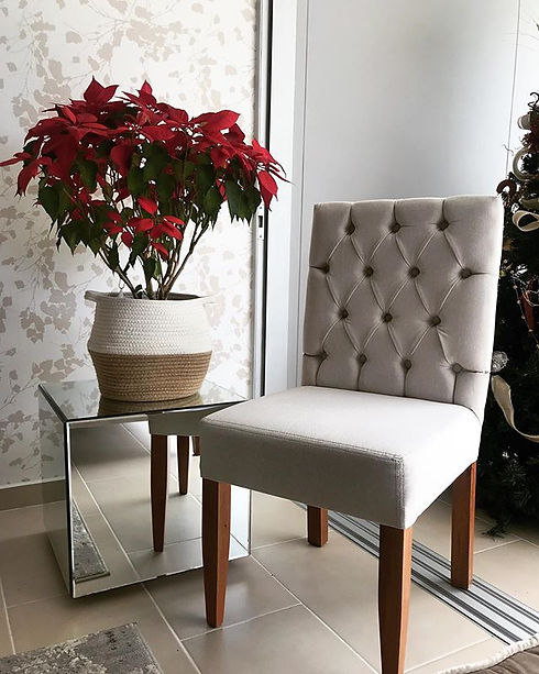 En navidad puedes contactarnos!!🎄, sill