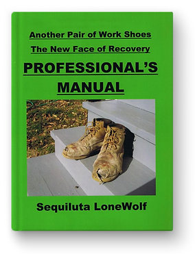 Professional's Manual