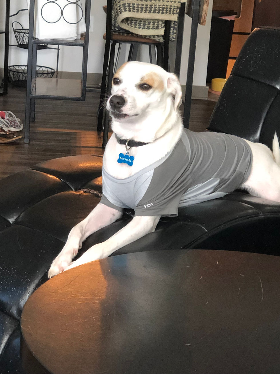Michael - such a proud dog